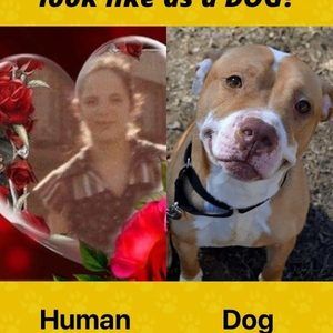 Meet your Posher, Joyce